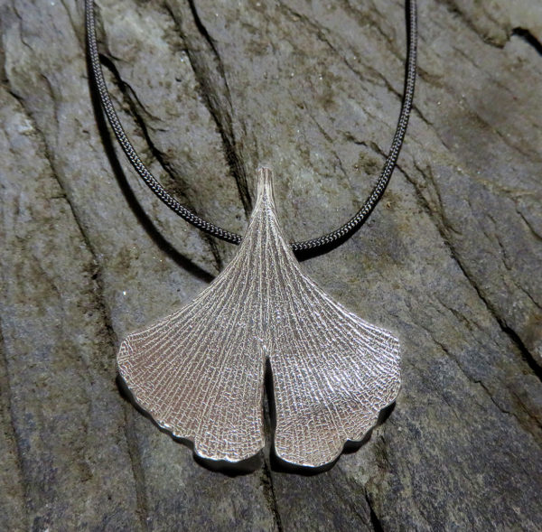 Ginkgo-I plata