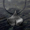 Ginkgo-I plata - Imatge 2