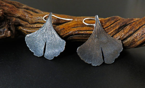 Ginkgo-I plata - Imatge 3