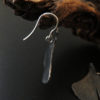Ginkgo-I plata - Imatge 4