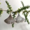 Ginkgo-I plata - Imatge 2