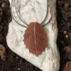 Holm oak -II bronze