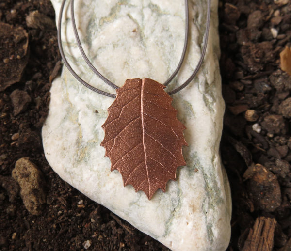 Holm oak -II bronze
